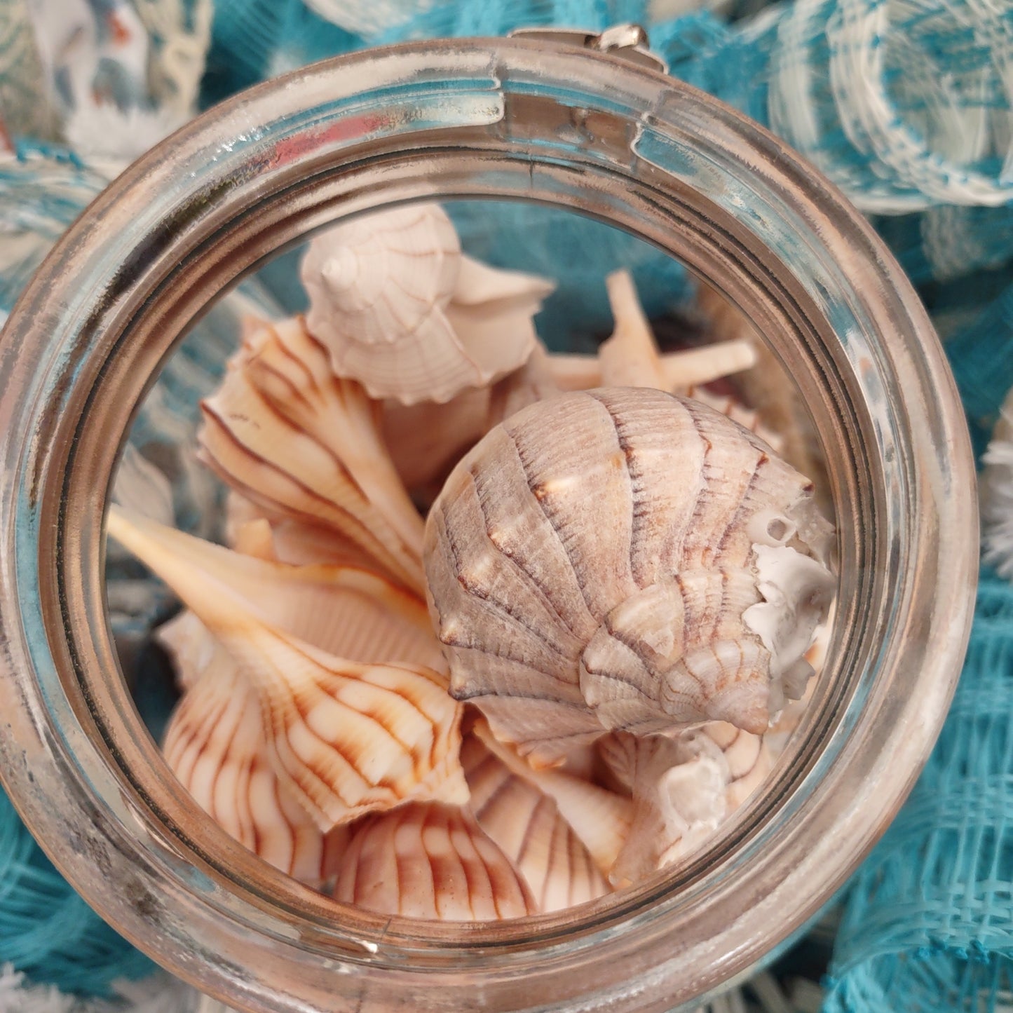 Beach, Seashells, Lightning Whelk Deco Mesh Centerpiece