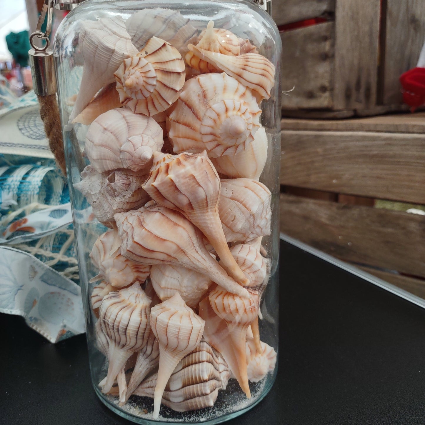 Beach, Seashells, Lightning Whelk Deco Mesh Centerpiece