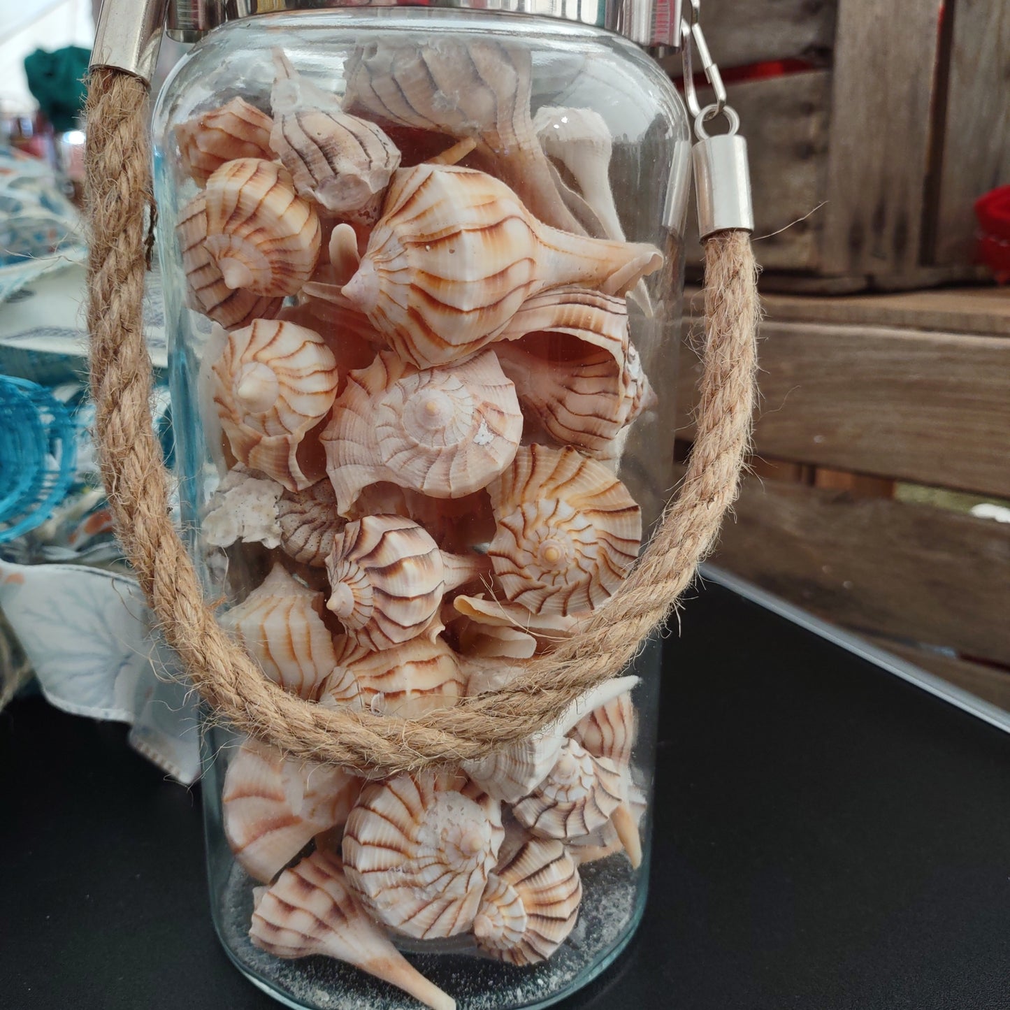 Beach, Seashells, Lightning Whelk Deco Mesh Centerpiece